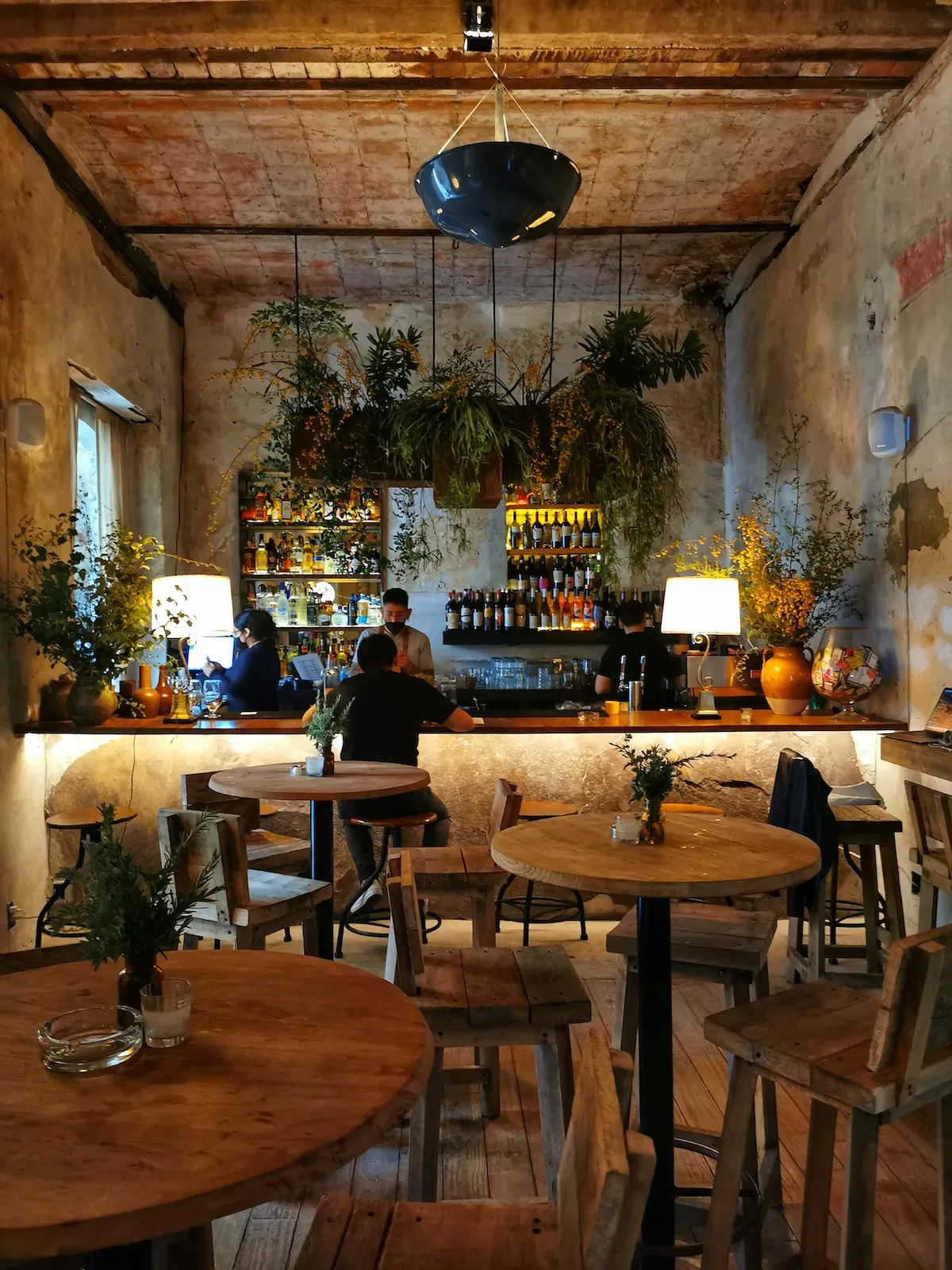 Bar de Taverna rodeado de vegetación, botellas y mesas de madera.